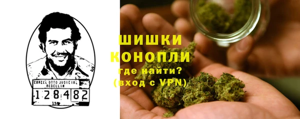 сатива Тайга