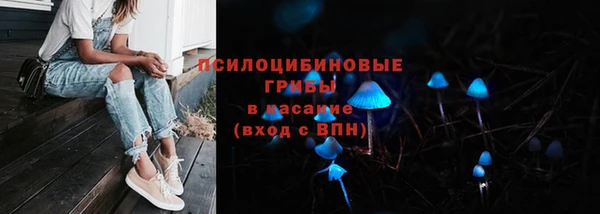 сатива Тайга