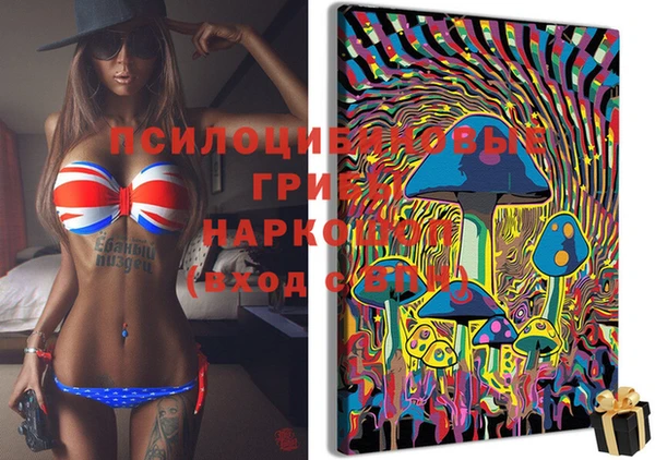 эйфоретик Вязьма