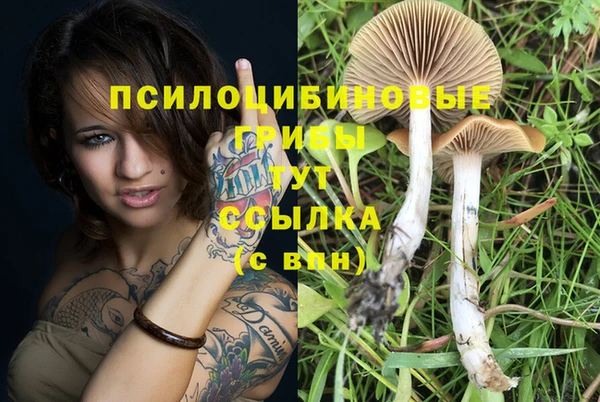 эйфоретик Вязьма