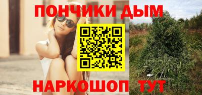 сатива Гусиноозёрск