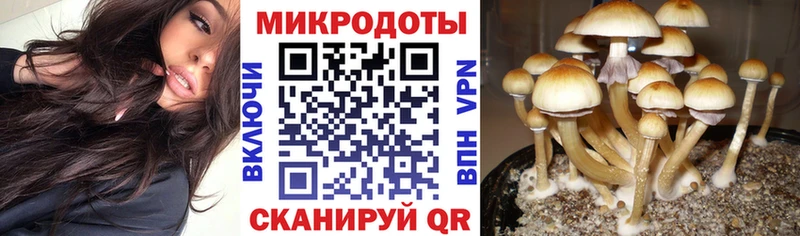 Псилоцибиновые грибы Psilocybe  мега tor  Мариинск  закладка 