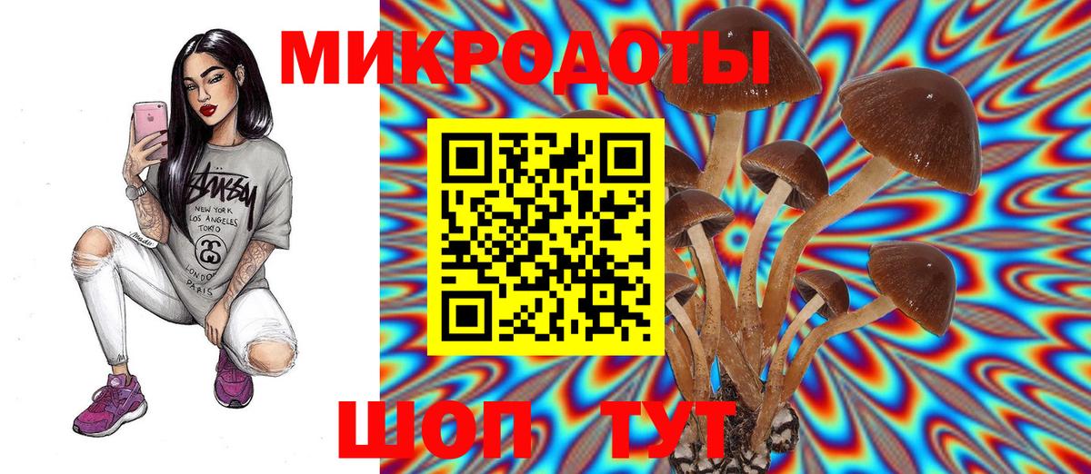 Мариинск  купить закладку  Вход с VPN  Псилоцибиновые грибы Psilocybe 